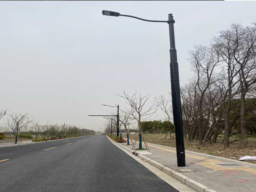 卡若区上海综合杆 太阳能路灯工程